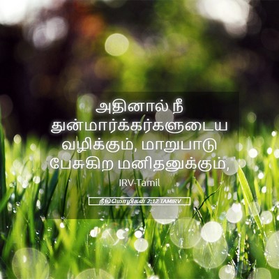 Picture 05 - நீதிமொழிகள் 2:12 TAMIRV - அதினால் நீ - Bible Verse Picture