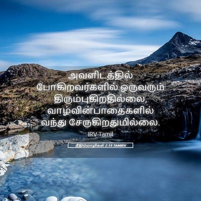 Picture 05 - நீதிமொழிகள் 2:19 TAMIRV - அவளிடத்தில் - Bible Verse Picture