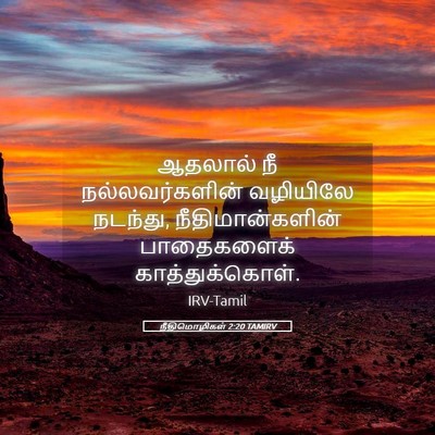 Picture 05 - நீதிமொழிகள் 2:20 TAMIRV - ஆதலால் நீ - Bible Verse Picture
