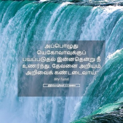 Picture 05 - நீதிமொழிகள் 2:5 TAMIRV - அப்பொழுது - Bible Verse Picture