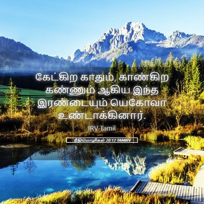 Picture 05 - நீதிமொழிகள் 20:12 TAMIRV - கேட்கிற காதும், - Bible Verse Picture