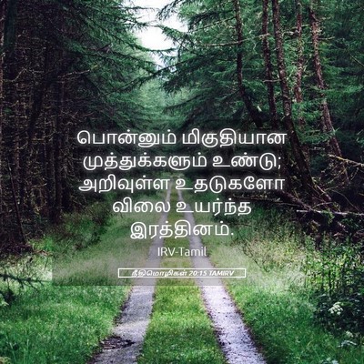 Picture 05 - நீதிமொழிகள் 20:15 TAMIRV - பொன்னும் - Bible Verse Picture