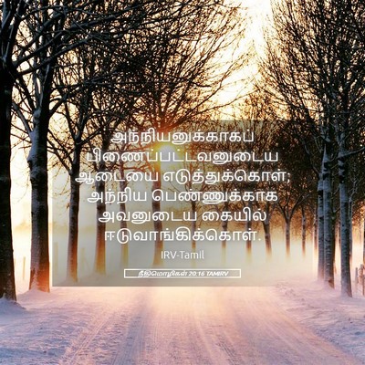 Picture 05 - நீதிமொழிகள் 20:16 TAMIRV - அந்நியனுக்காகப் - Bible Verse Picture