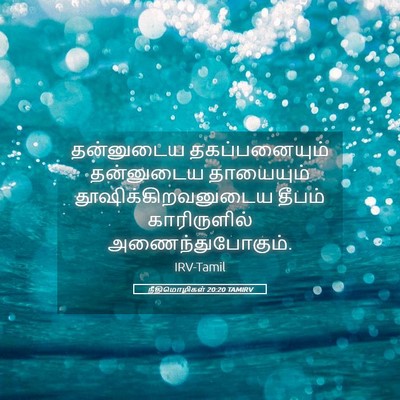 Picture 05 - நீதிமொழிகள் 20:20 TAMIRV - தன்னுடைய - Bible Verse Picture