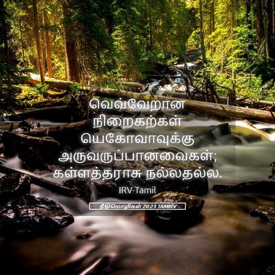 Picture 05 - நீதிமொழிகள் 20:23 TAMIRV - வெவ்வேறான - Bible Verse Picture