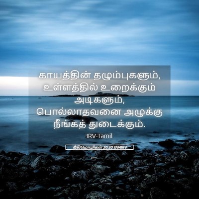 Picture 05 - நீதிமொழிகள் 20:30 TAMIRV - காயத்தின் - Bible Verse Picture