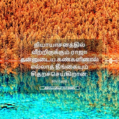 Picture 05 - நீதிமொழிகள் 20:8 TAMIRV - நியாயாசனத்தில் - Bible Verse Picture