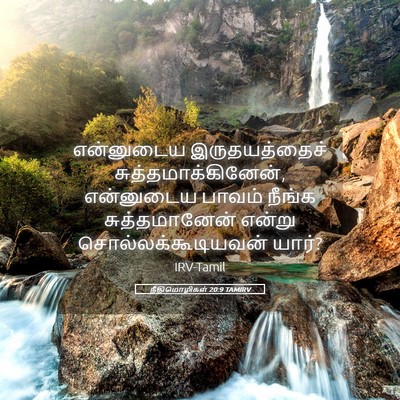 Picture 05 - நீதிமொழிகள் 20:9 TAMIRV - என்னுடைய - Bible Verse Picture