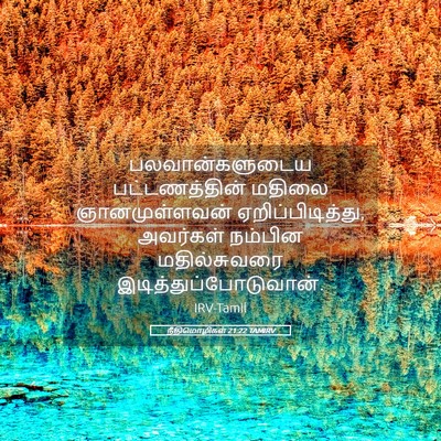Picture 05 - நீதிமொழிகள் 21:22 TAMIRV - பலவான்களுடைய - Bible Verse Picture