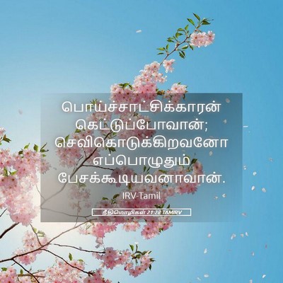 Picture 05 - நீதிமொழிகள் 21:28 TAMIRV -  - Bible Verse Picture