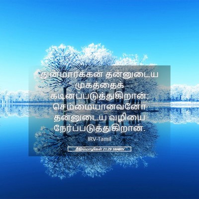 Picture 05 - நீதிமொழிகள் 21:29 TAMIRV - துன்மார்க்கன் - Bible Verse Picture