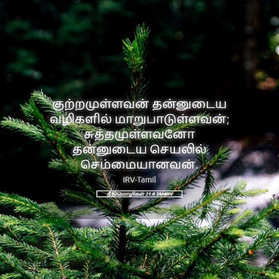 Picture 05 - நீதிமொழிகள் 21:8 TAMIRV - குற்றமுள்ளவன் - Bible Verse Picture