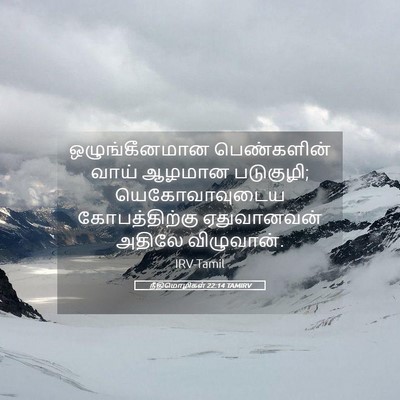 Picture 05 - நீதிமொழிகள் 22:14 TAMIRV - ஒழுங்கீனமான - Bible Verse Picture