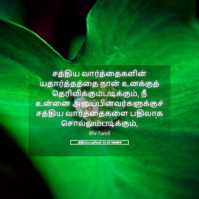 Picture 05 - நீதிமொழிகள் 22:20 TAMIRV - சத்திய - Bible Verse Picture