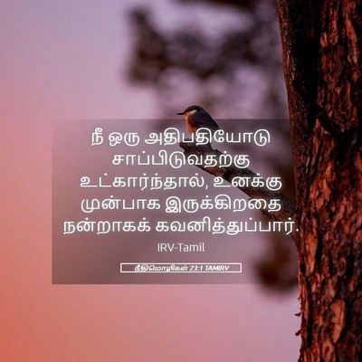 Picture 05 - நீதிமொழிகள் 23:1 TAMIRV - நீ ஒரு அதிபதியோடு - Bible Verse Picture
