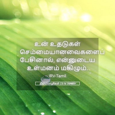 Picture 05 - நீதிமொழிகள் 23:16 TAMIRV - உன் உதடுகள் - Bible Verse Picture