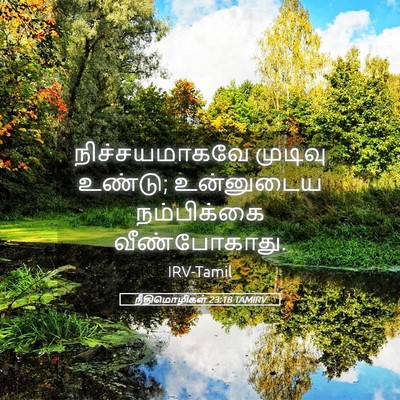 Picture 05 - நீதிமொழிகள் 23:18 TAMIRV - நிச்சயமாகவே - Bible Verse Picture