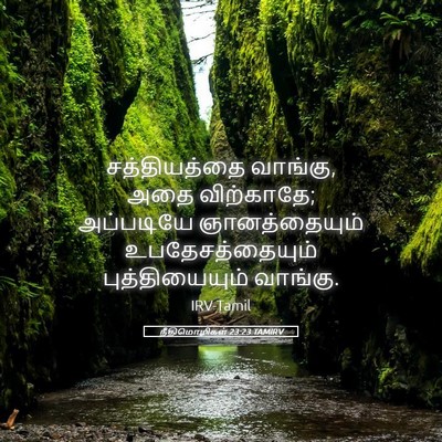 Picture 05 - நீதிமொழிகள் 23:23 TAMIRV - சத்தியத்தை - Bible Verse Picture