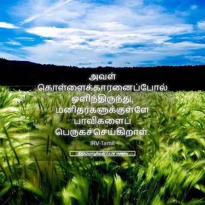 Picture 05 - நீதிமொழிகள் 23:28 TAMIRV - அவள் - Bible Verse Picture