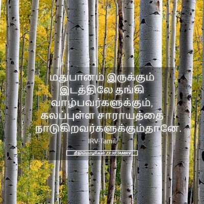 Picture 05 - நீதிமொழிகள் 23:30 TAMIRV - மதுபானம் - Bible Verse Picture