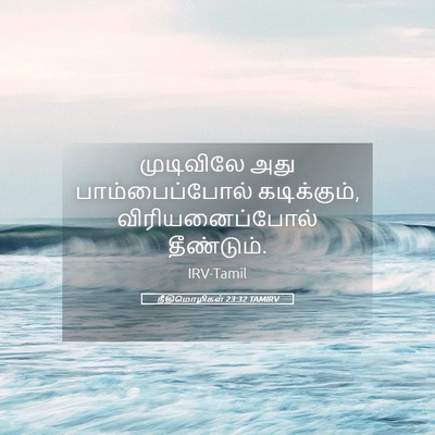 Picture 05 - நீதிமொழிகள் 23:32 TAMIRV - முடிவிலே அது - Bible Verse Picture