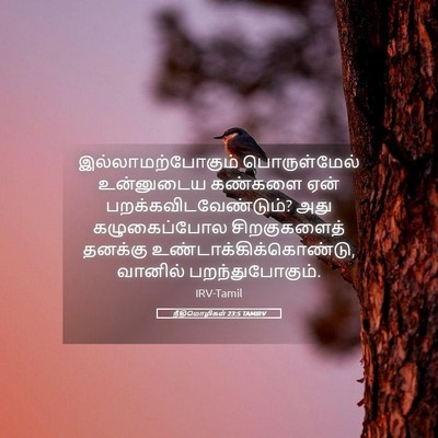 Picture 05 - நீதிமொழிகள் 23:5 TAMIRV - இல்லாமற்போகும் - Bible Verse Picture