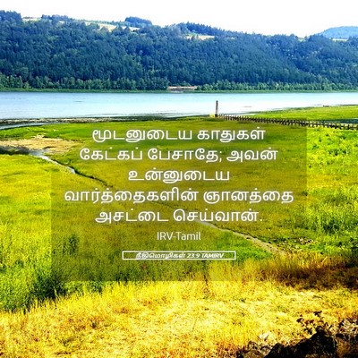 Picture 05 - நீதிமொழிகள் 23:9 TAMIRV - மூடனுடைய காதுகள் - Bible Verse Picture