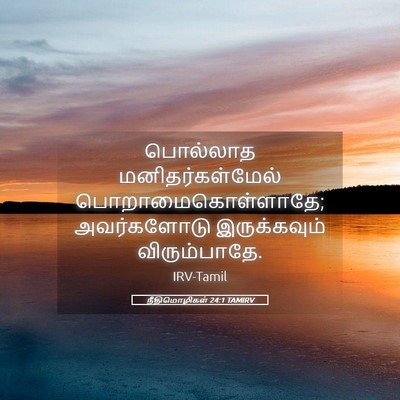 Picture 05 - நீதிமொழிகள் 24:1 TAMIRV - பொல்லாத - Bible Verse Picture