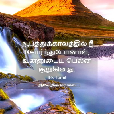 Picture 05 - நீதிமொழிகள் 24:10 TAMIRV -  - Bible Verse Picture