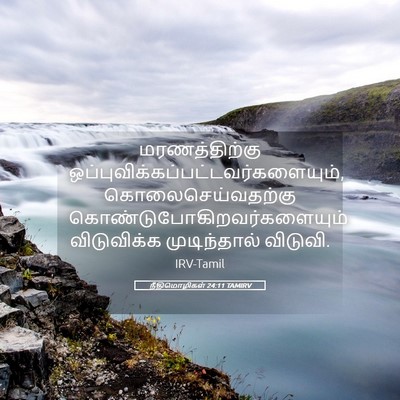 Picture 05 - நீதிமொழிகள் 24:11 TAMIRV - மரணத்திற்கு - Bible Verse Picture
