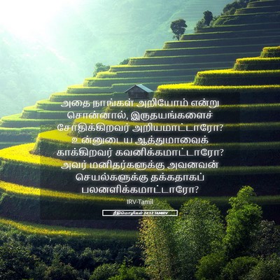 Picture 05 - நீதிமொழிகள் 24:12 TAMIRV - அதை நாங்கள் - Bible Verse Picture