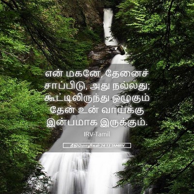 Picture 05 - நீதிமொழிகள் 24:13 TAMIRV - என் மகனே, தேனைச் - Bible Verse Picture