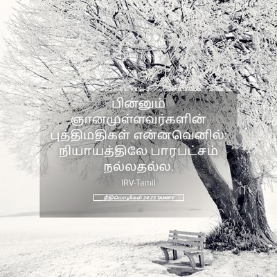 Picture 05 - நீதிமொழிகள் 24:23 TAMIRV - பின்னும் - Bible Verse Picture