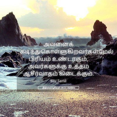 Picture 05 - நீதிமொழிகள் 24:25 TAMIRV - அவனைக் - Bible Verse Picture