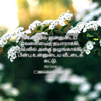 Picture 05 - நீதிமொழிகள் 24:27 TAMIRV - வெளியில் உன்னுடைய - Bible Verse Picture