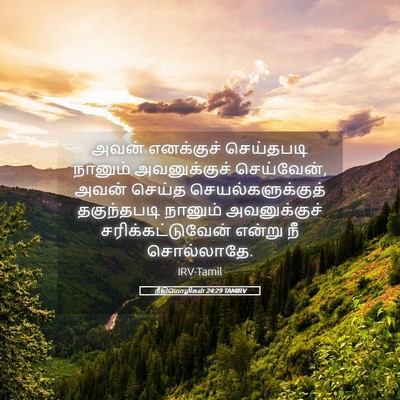 Picture 05 - நீதிமொழிகள் 24:29 TAMIRV - அவன் எனக்குச் - Bible Verse Picture