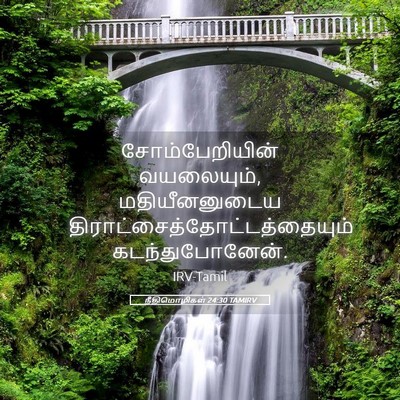Picture 05 - நீதிமொழிகள் 24:30 TAMIRV - சோம்பேறியின் - Bible Verse Picture