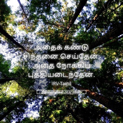 Picture 05 - நீதிமொழிகள் 24:32 TAMIRV - அதைக் கண்டு - Bible Verse Picture