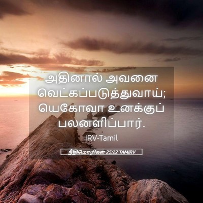 Picture 05 - நீதிமொழிகள் 25:22 TAMIRV - அதினால் அவனை - Bible Verse Picture