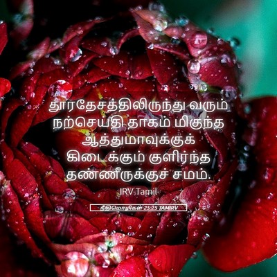 Picture 05 - நீதிமொழிகள் 25:25 TAMIRV -  - Bible Verse Picture