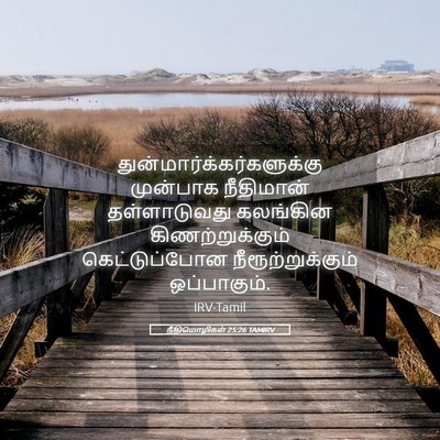 Picture 05 - நீதிமொழிகள் 25:26 TAMIRV -  - Bible Verse Picture