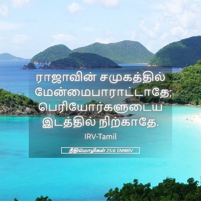 Picture 05 - நீதிமொழிகள் 25:6 TAMIRV - ராஜாவின் - Bible Verse Picture