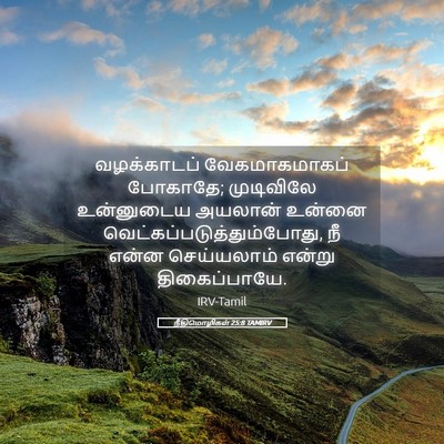 Picture 05 - நீதிமொழிகள் 25:8 TAMIRV - வழக்காடப் - Bible Verse Picture