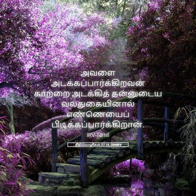 Picture 05 - நீதிமொழிகள் 27:16 TAMIRV - அவளை - Bible Verse Picture