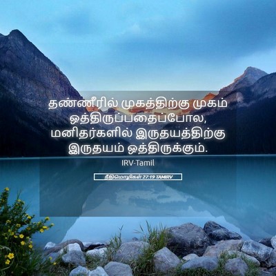 Picture 05 - நீதிமொழிகள் 27:19 TAMIRV - தண்ணீரில் - Bible Verse Picture