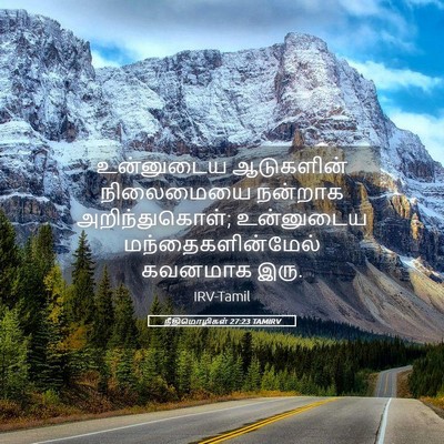 Picture 05 - நீதிமொழிகள் 27:23 TAMIRV - உன்னுடைய ஆடுகளின் - Bible Verse Picture