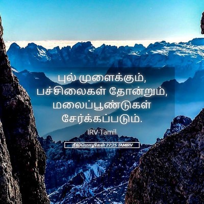 Picture 05 - நீதிமொழிகள் 27:25 TAMIRV - புல் முளைக்கும், - Bible Verse Picture