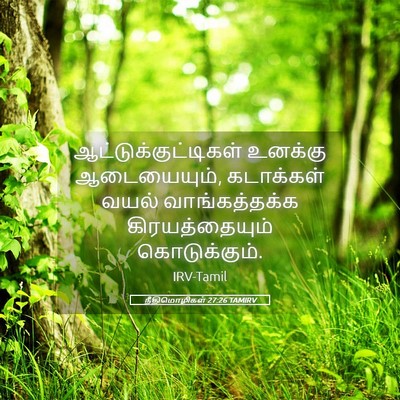 Picture 05 - நீதிமொழிகள் 27:26 TAMIRV - ஆட்டுக்குட்டிகள் - Bible Verse Picture