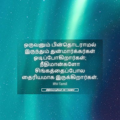 Picture 05 - நீதிமொழிகள் 28:1 TAMIRV - ஒருவனும் - Bible Verse Picture
