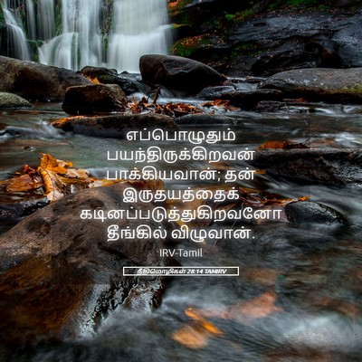 Picture 05 - நீதிமொழிகள் 28:14 TAMIRV - எப்பொழுதும் - Bible Verse Picture